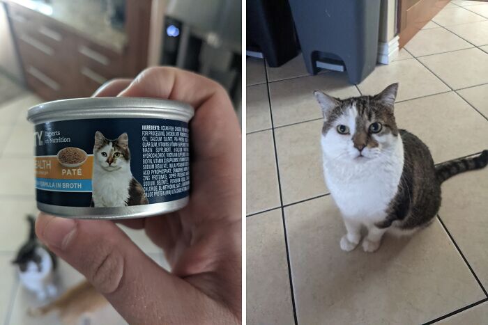Lo adoptamos a los 2 años y siempre nos preguntamos cómo era de pequeño. Ahora lo sabemos