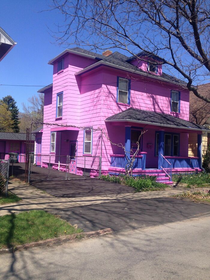 ¿Cómo llamarías a este color? ¿Fucsia feo?
