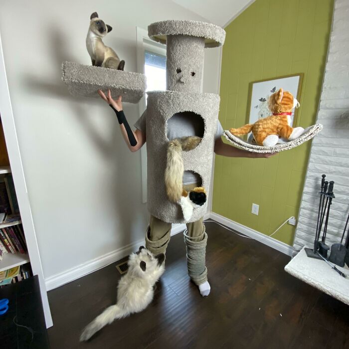 Árbol humano para gatos 