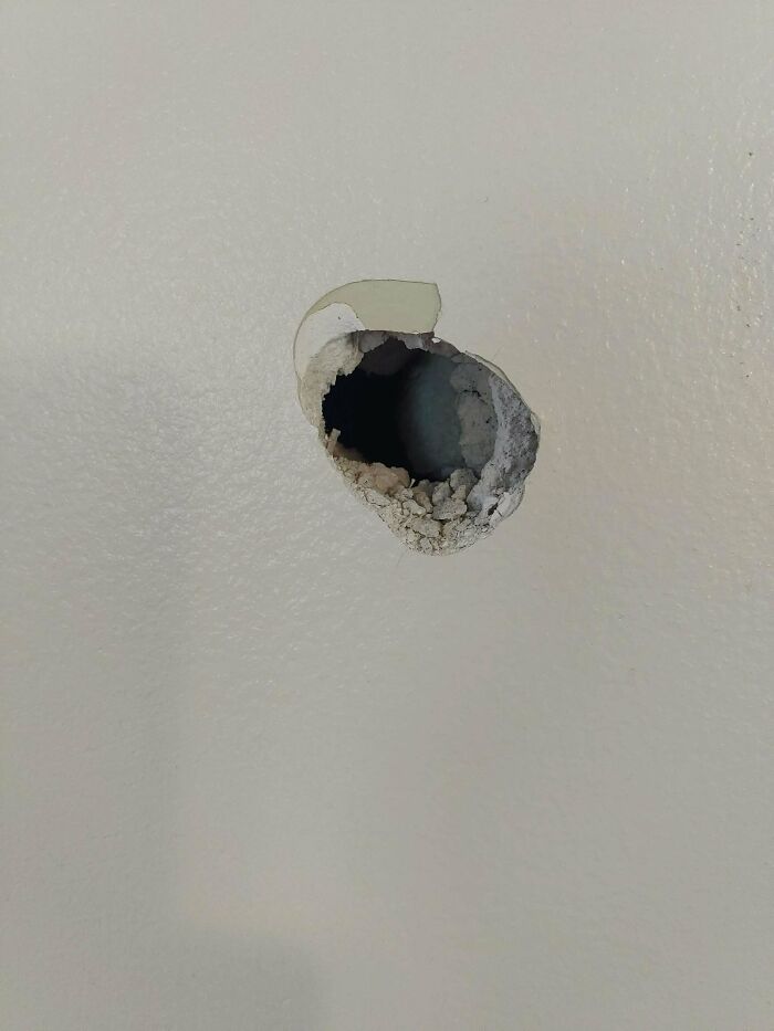 Un tipo cortando el césped disparó una piedra a través de mi ventana