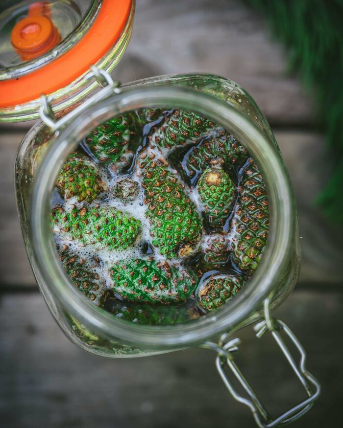 Mi nueva bebida fermentada favorita: refresco de piña salvaje sin madurar