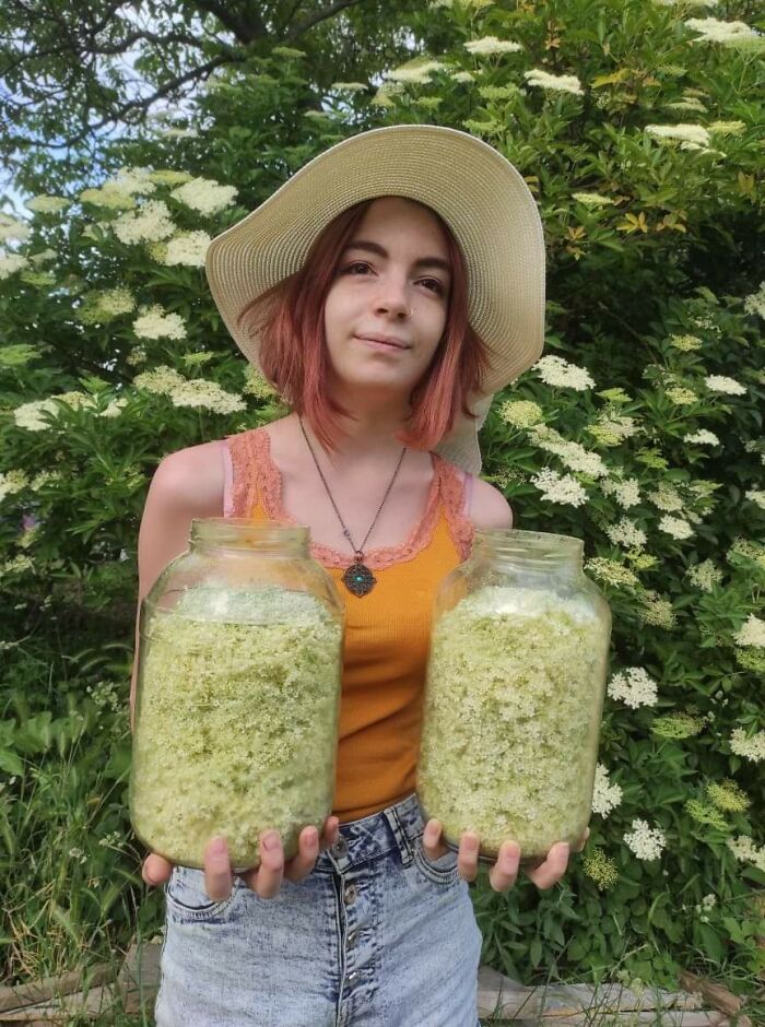 Aquí, en Hungría, las flores de saúco están por todas partes en esta época del año, así que recogimos algunas para preparar el jarabe de saúco de mi madre