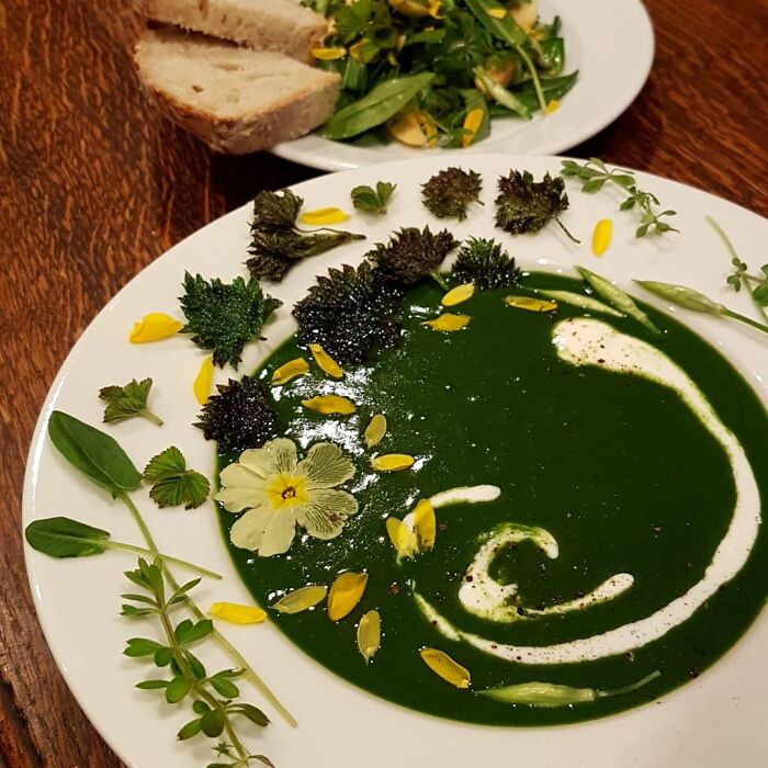 Hoy hice sopa de ortiga y ajo silvestre con cebolletas