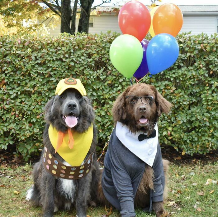 Feliz Halloween
