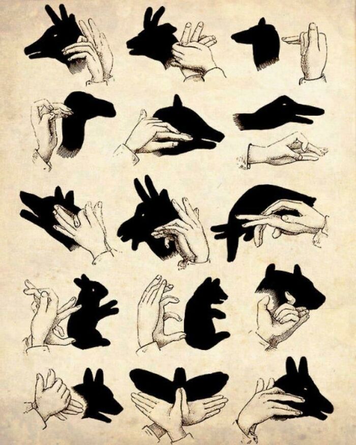 Conviértete en un maestro de las sombras con estos simples pasos (además, es un buen título para tu currículum)