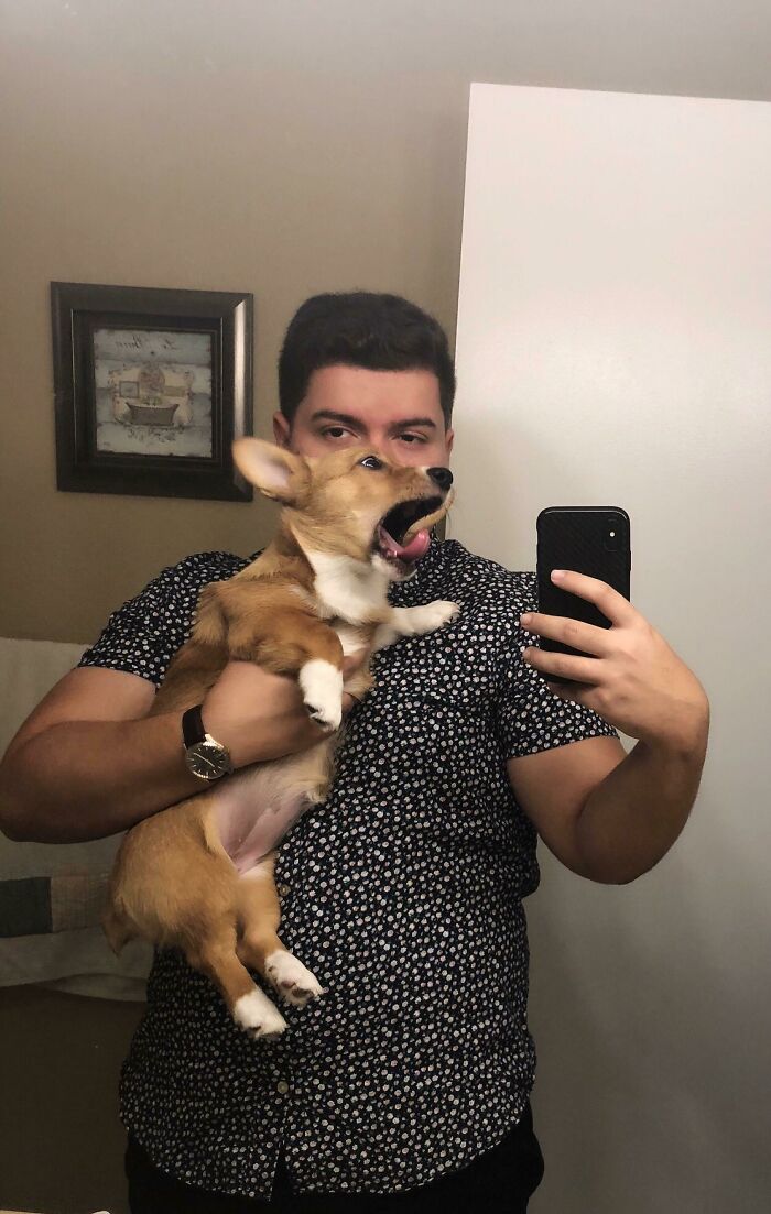 Pancake no es el cachorro más fácil de fotografiar
