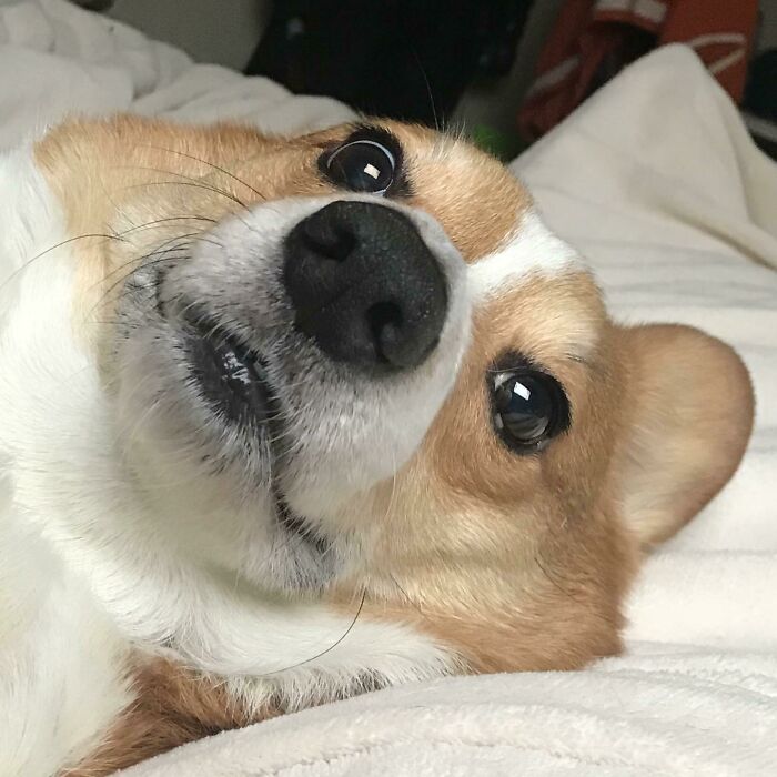 Cada mañana me despierto con la cara de mi alma gemela