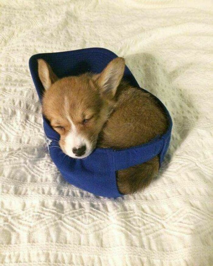Si ella cabe, duerme