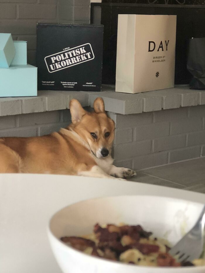 No le dimos nada de nuestra comida, y está siendo muy dramático al respecto