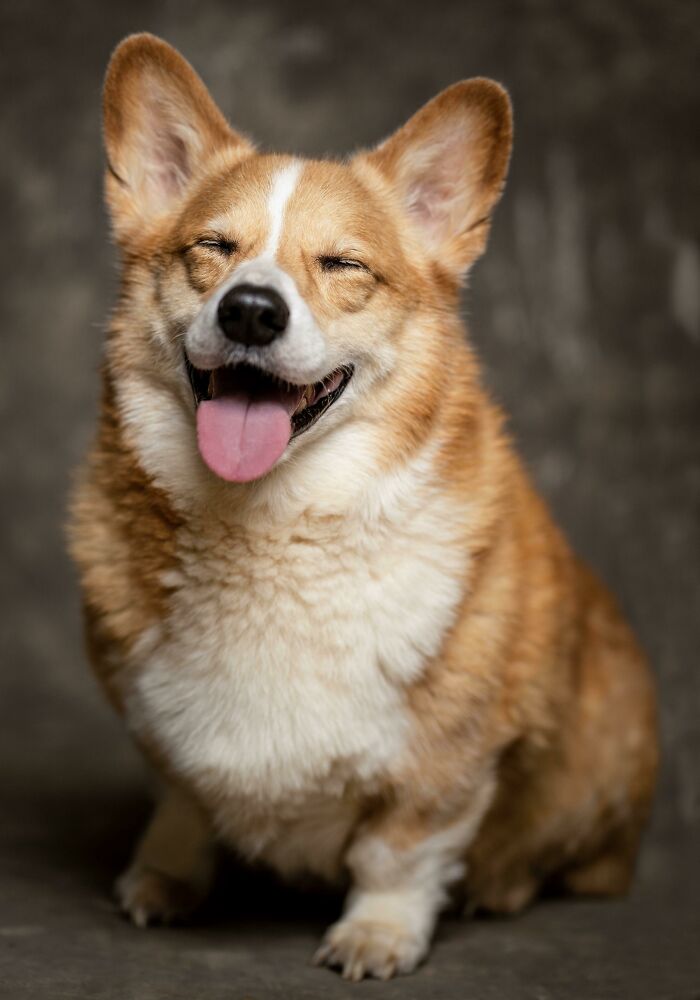 Este pequeño acaba de cumplir 9 años y he decidido sacar la cámara para hacerle una foto
