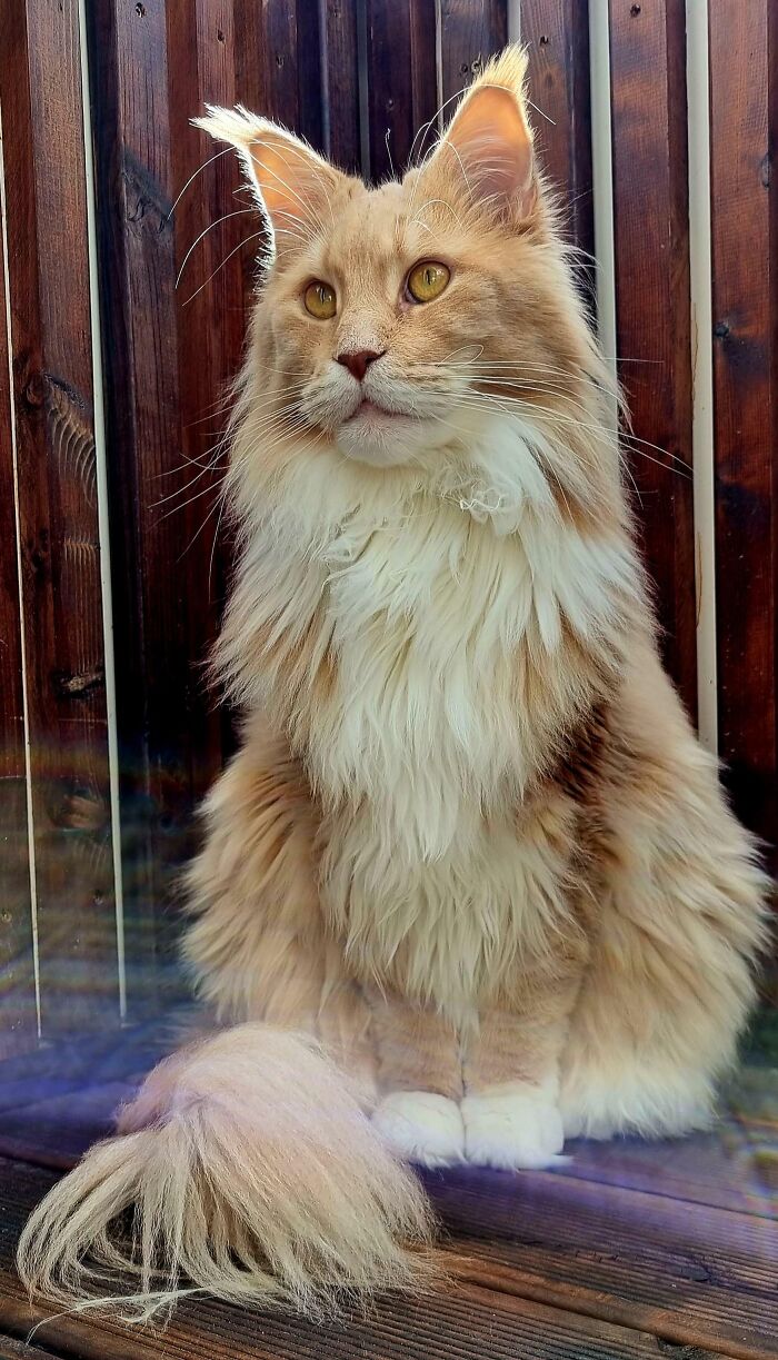 Mi guapetón