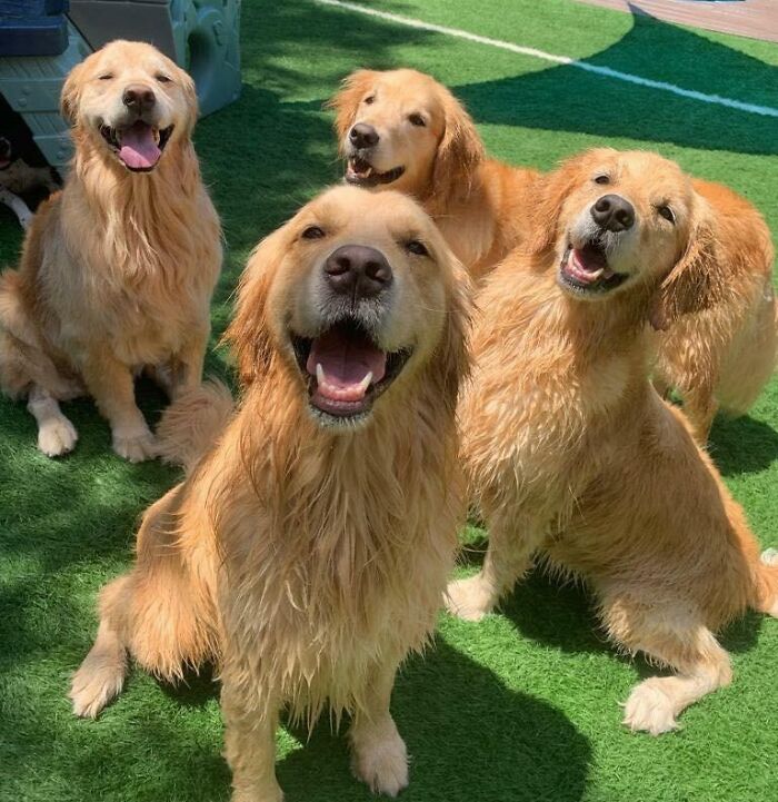 Ctrl+C, Ctrl+V, Ctrl+V, Ctrl+V