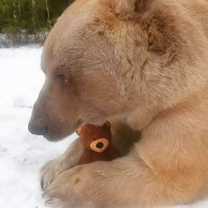 50 Pics Without Context That Get Weirder And Weirder The Longer You Look At Them, As Shared On This Online Group (New Pics)