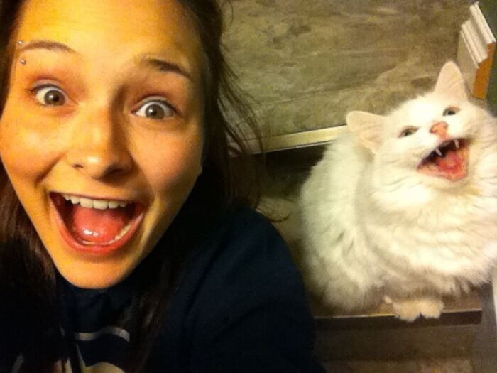 De casualidad, mi amiga se tomó esta foto con su gato. ¡Es genial!
