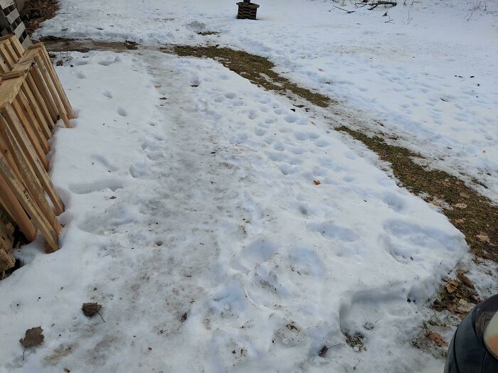Mi papá cavó un camino pero el resto de la familia decidió que era demasiado lejos