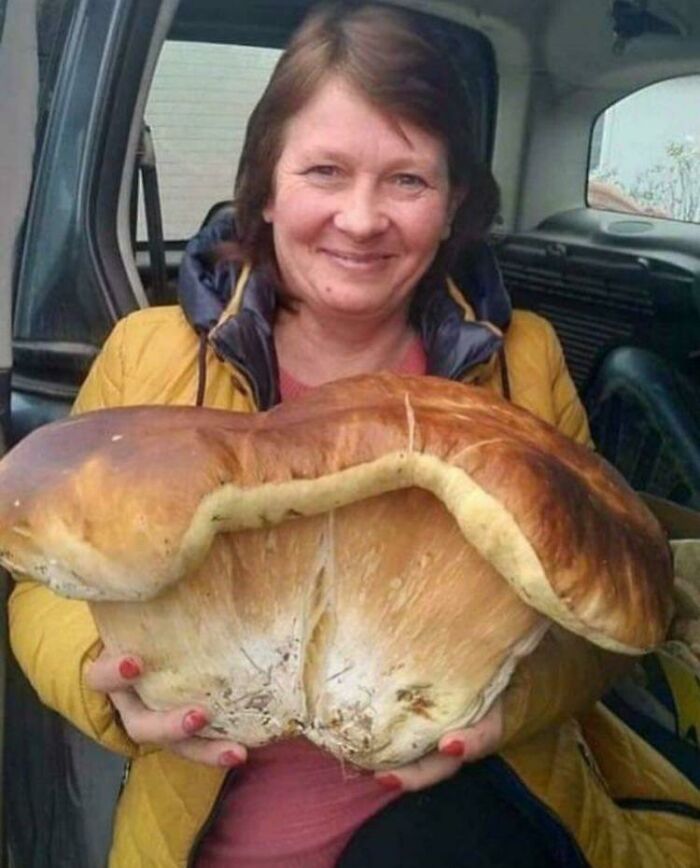 Un enorme boletus