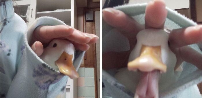 50 Pics Without Context That Get Weirder And Weirder The Longer You Look At Them, As Shared On This Online Group (New Pics)
