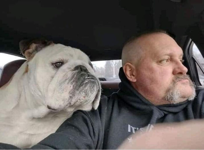50 Pics Without Context That Get Weirder And Weirder The Longer You Look At Them, As Shared On This Online Group (New Pics)