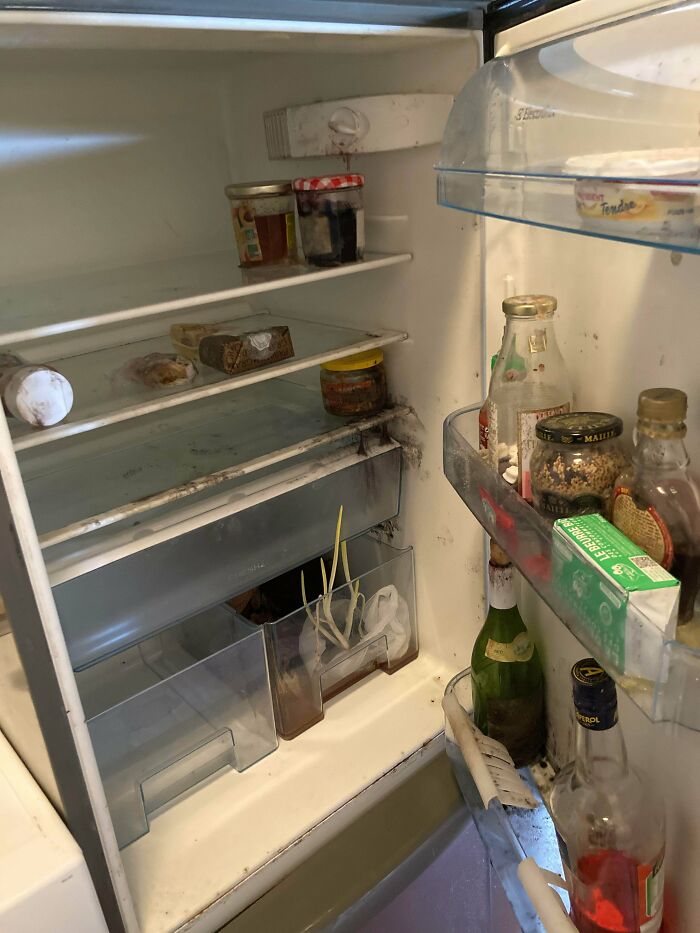 Regresé a mi vivienda en la ciudad luego de vivir un par de meses lejos y al parecer mi compañero de piso desconectó la electricidad cuando se fue pero olvidó limpiar el refrigerador