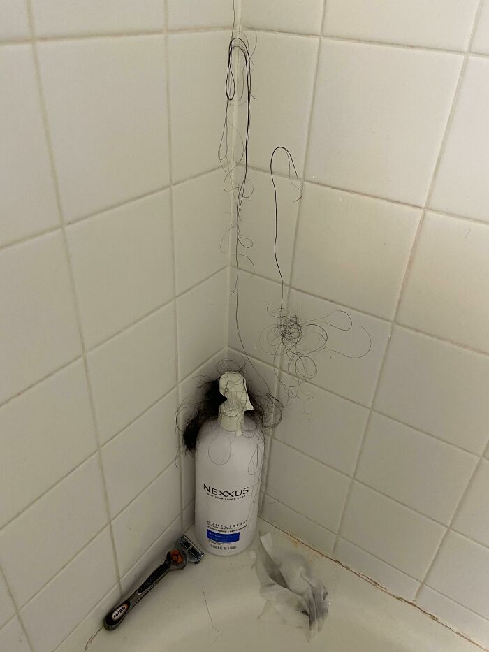 Mi compañera de piso ha empezado una colección