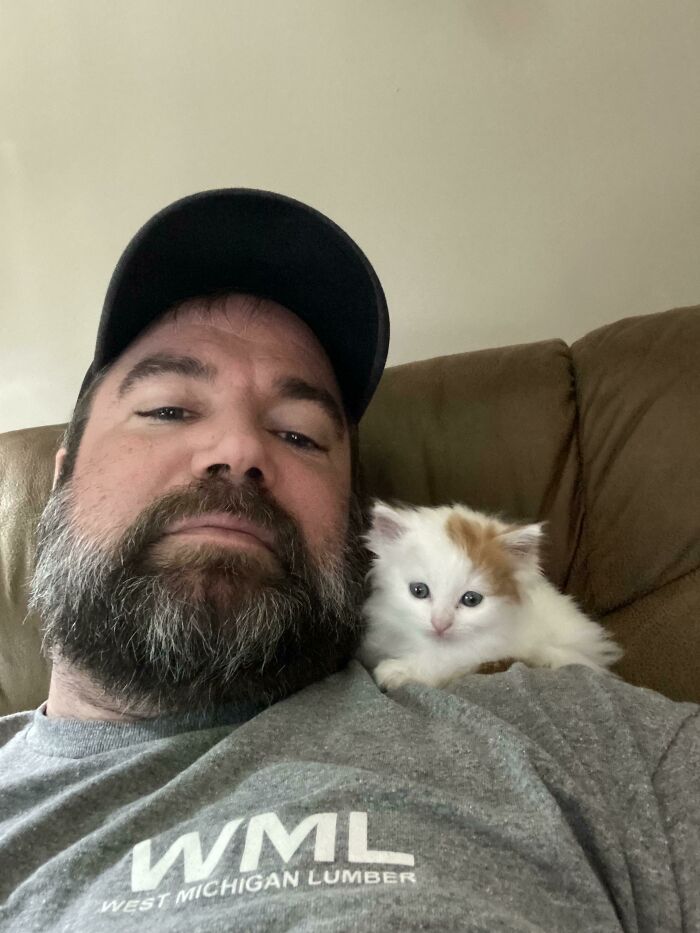 Sólo es una pequeña gata adoptada. Es maravillosa