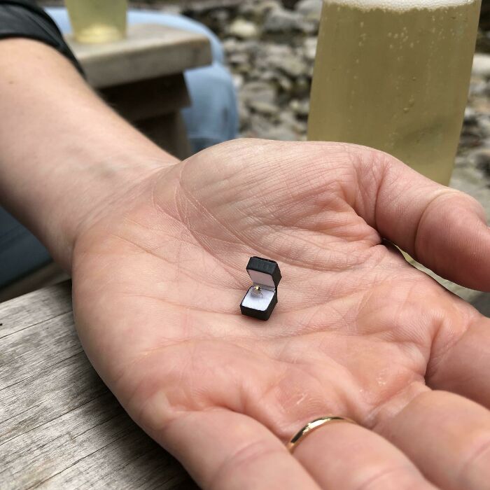 El novio de mi hermana sabe que a ella le gustan las cosas en miniatura y le propuso matrimonio con un anillo diminuto (le compró un anillo de verdad, obviamente) 