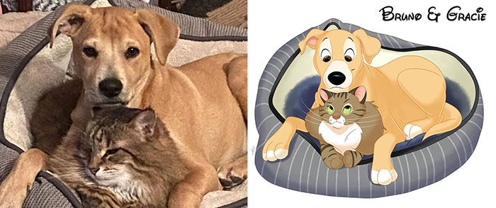 Bruno y Gracie