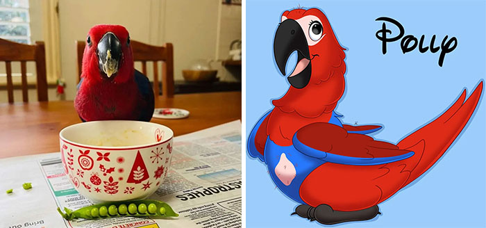 Polly