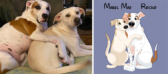 Mabel Mae y Rocko