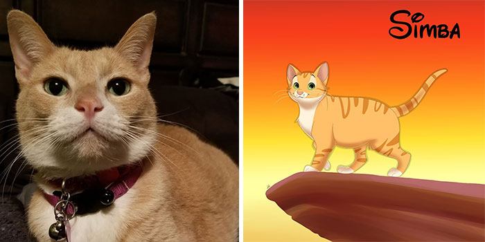 Simba