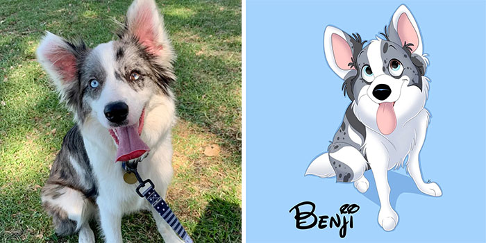 Benji