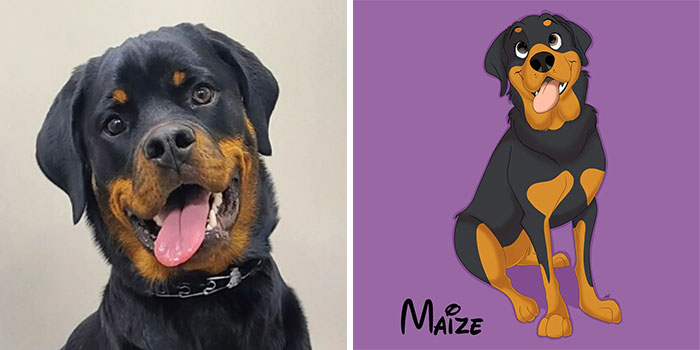 Maize