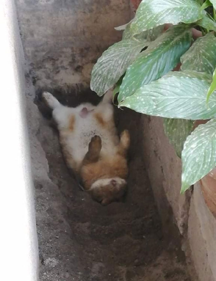 No tiene ni una preocupación