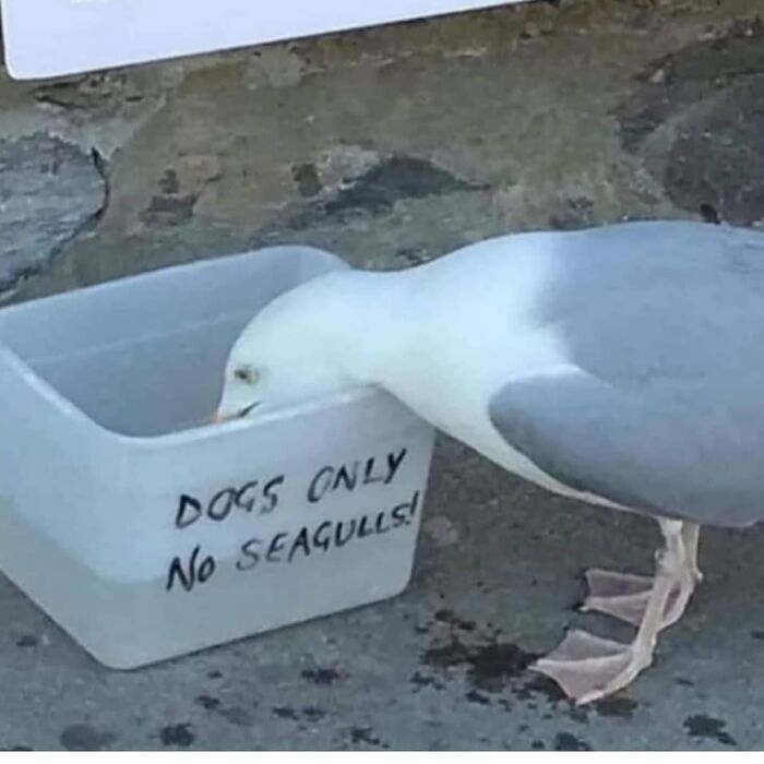 This Instagram Page Is Sharing Cursed Images And Here Are 50 Of The Best Of The Worst Ones