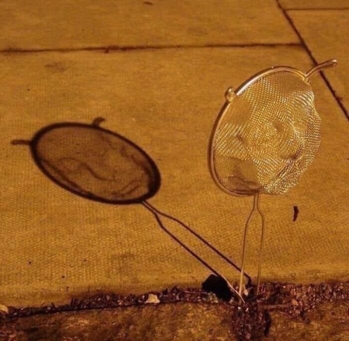 This Instagram Page Is Sharing Cursed Images And Here Are 50 Of The Best Of The Worst Ones