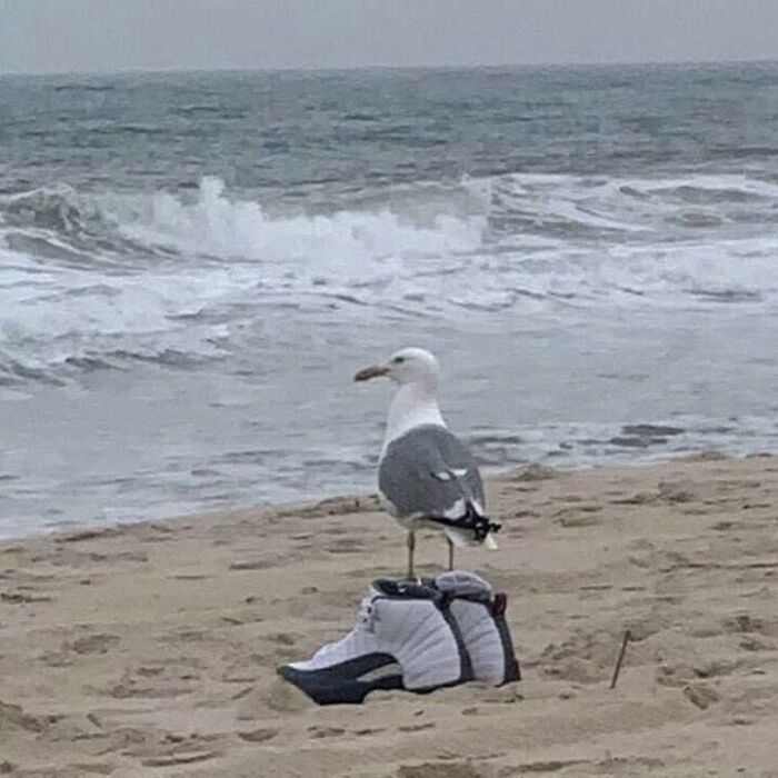 This Instagram Page Is Sharing Cursed Images And Here Are 50 Of The Best Of The Worst Ones