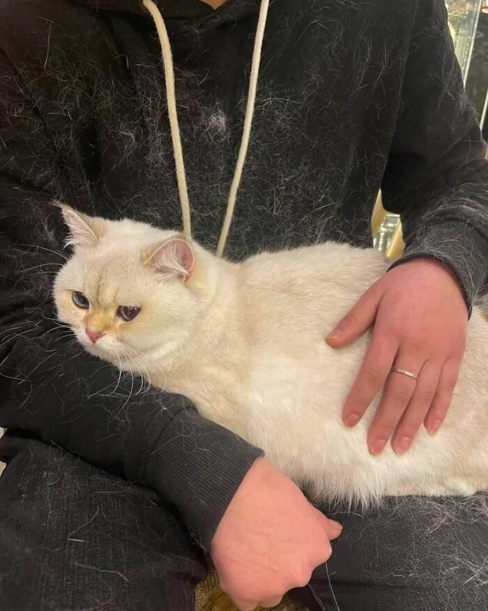 50 Hard To Explain But Impossible Not To Love Animal Pics, As Shared By This IG Page (New Pics)