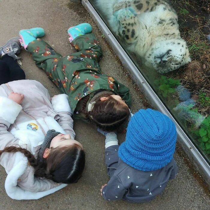 50 Hard To Explain But Impossible Not To Love Animal Pics, As Shared By This IG Page (New Pics)