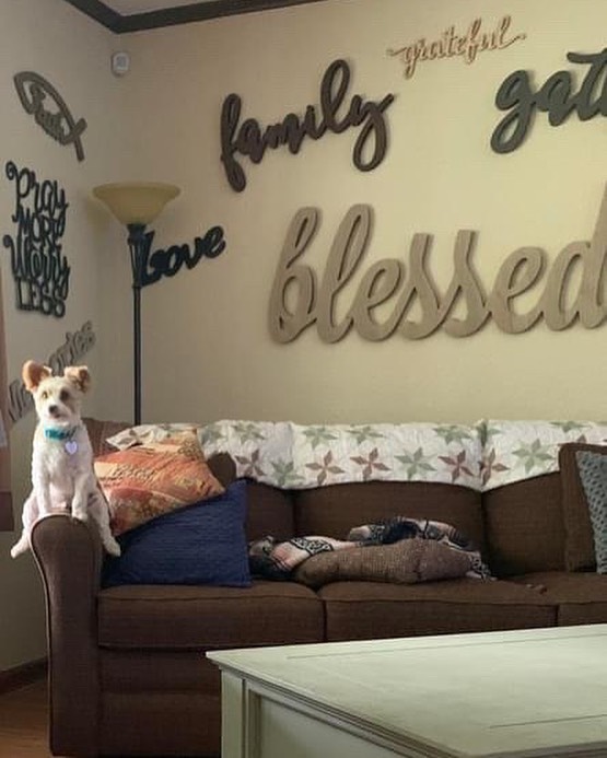 Real Estate Fails: ‘The Broke Agent’ Pokes Fun At The Most Hectic Homes, And Here Are 40 Of The Worst Of Them (New Pics)