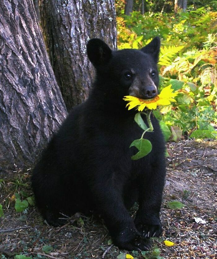 50 Hard To Explain But Impossible Not To Love Animal Pics, As Shared By This IG Page (New Pics)