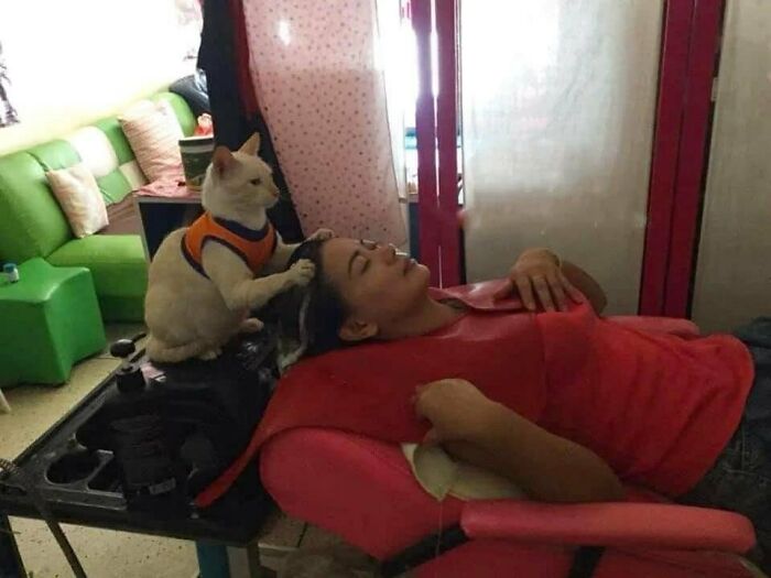 50 Hard To Explain But Impossible Not To Love Animal Pics, As Shared By This IG Page (New Pics)