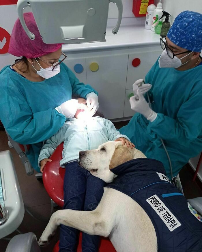 50 Hard To Explain But Impossible Not To Love Animal Pics, As Shared By This IG Page (New Pics)