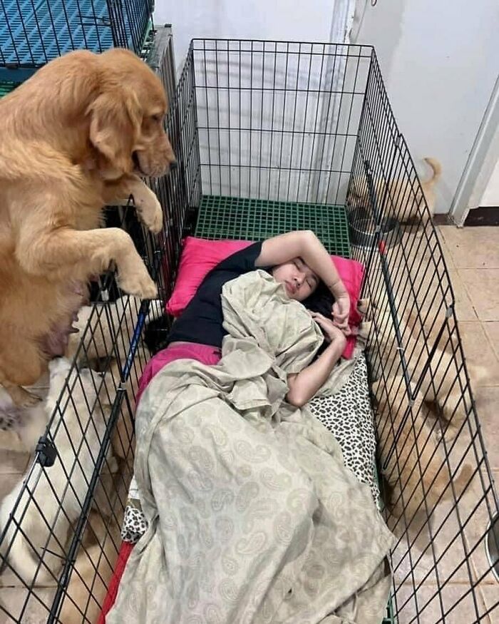 50 Hard To Explain But Impossible Not To Love Animal Pics, As Shared By This IG Page (New Pics)