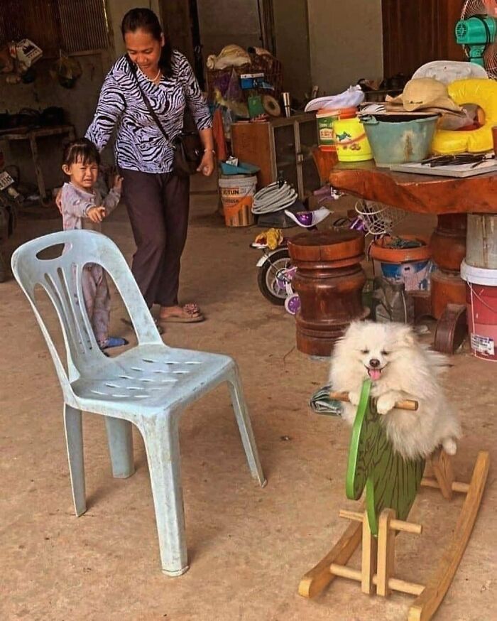 50 Hard To Explain But Impossible Not To Love Animal Pics, As Shared By This IG Page (New Pics)