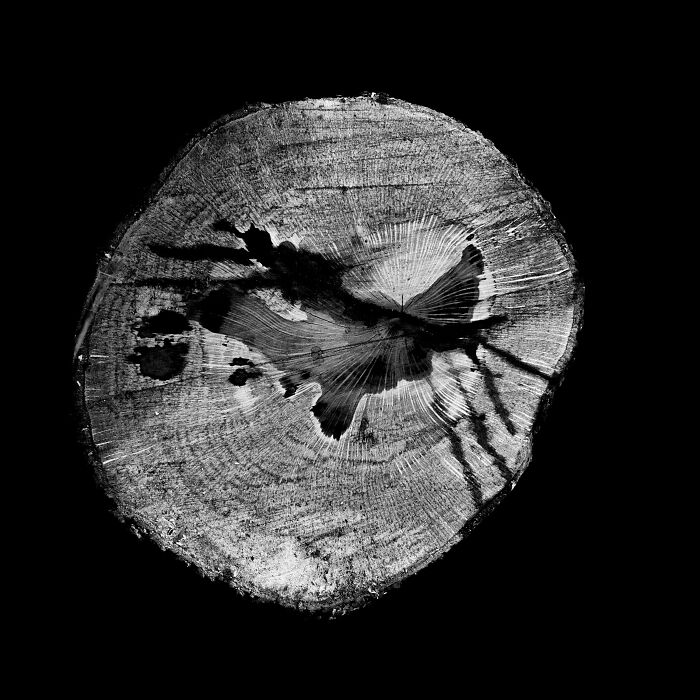 Oriel por Ellen Konar y Steve Goldband
