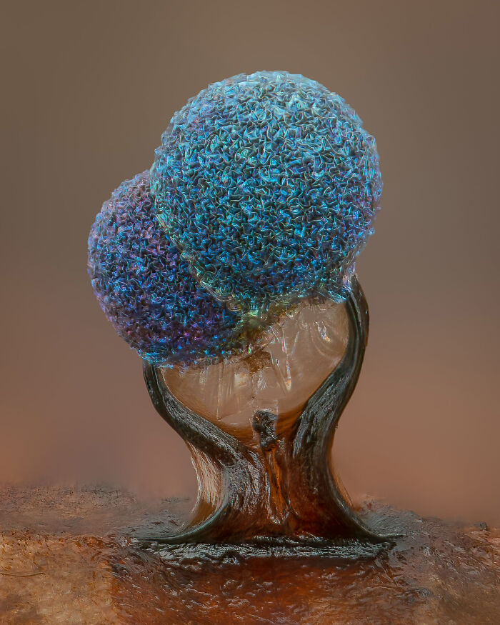 5º Puesto - Alison Pollack
