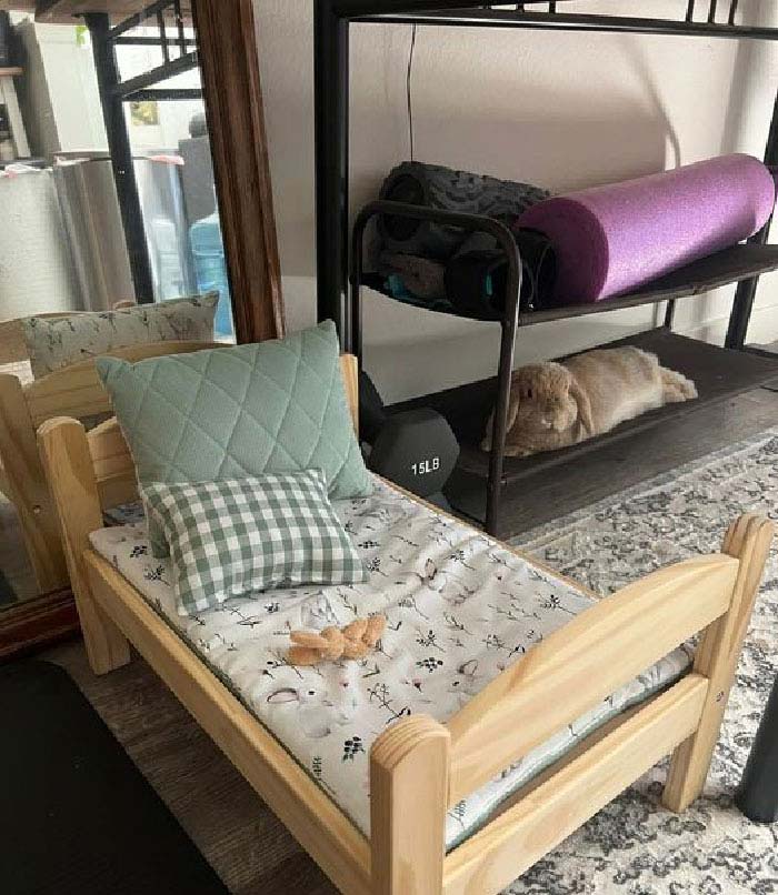 Cuando le regalas una cama bonita y ella prefiere el zapatero