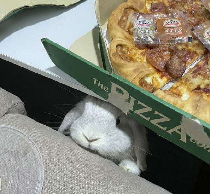 Atrapando al ladrón de pizzas antes de que cometa el delito