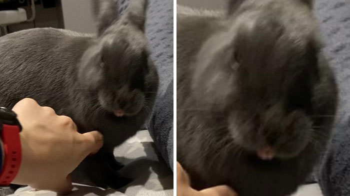 ¡Dije que no me toques, mamá!