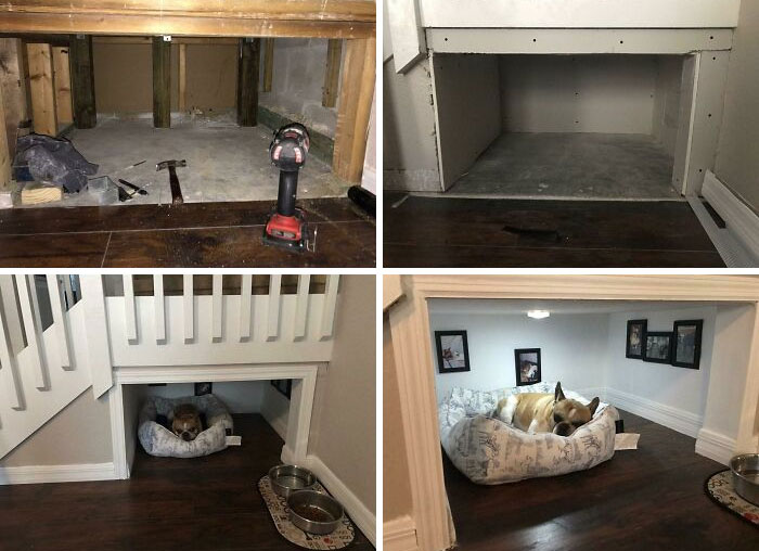 Un buen chico recibe una habitación especial para él solo